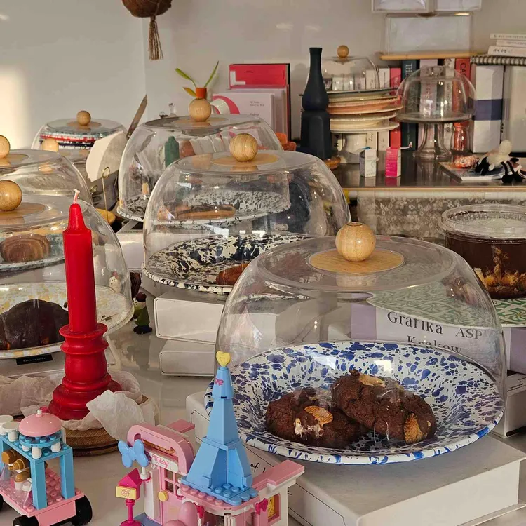 셀라 대표 사진