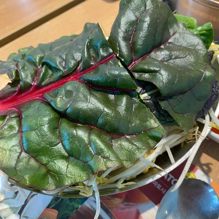 채선당 샤브보트 대표 사진