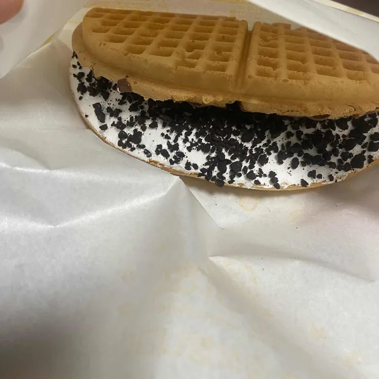 와플대학 사진 2