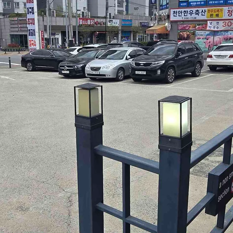 초강수의 물꽁해물 대표 사진