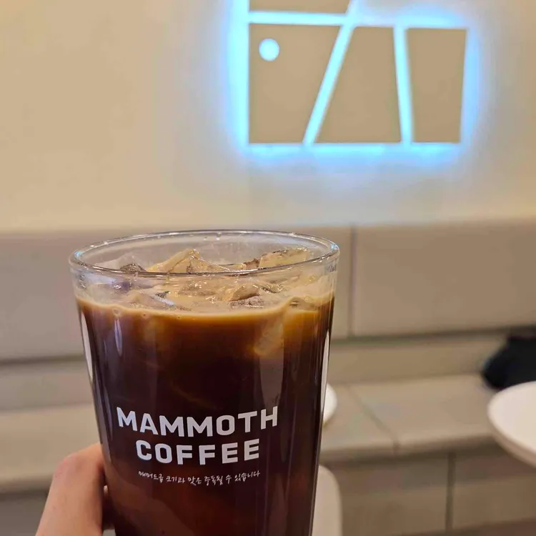 매머드익스프레스 대표 사진