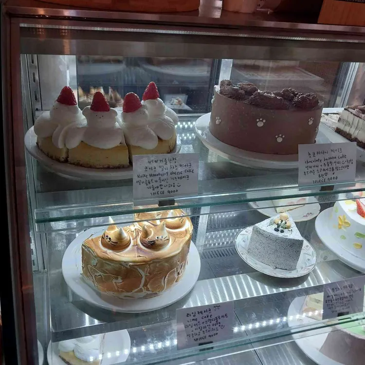 코이크 대표 사진