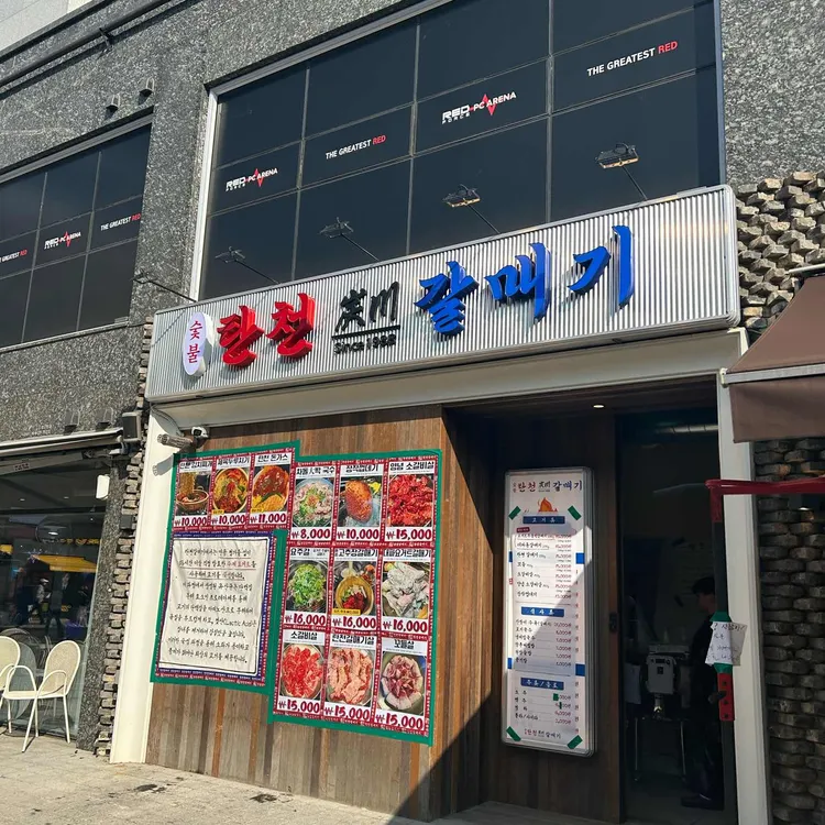 탄천갈매기  사진 1