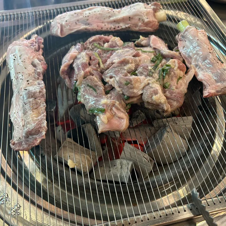 탄천갈매기  사진 2