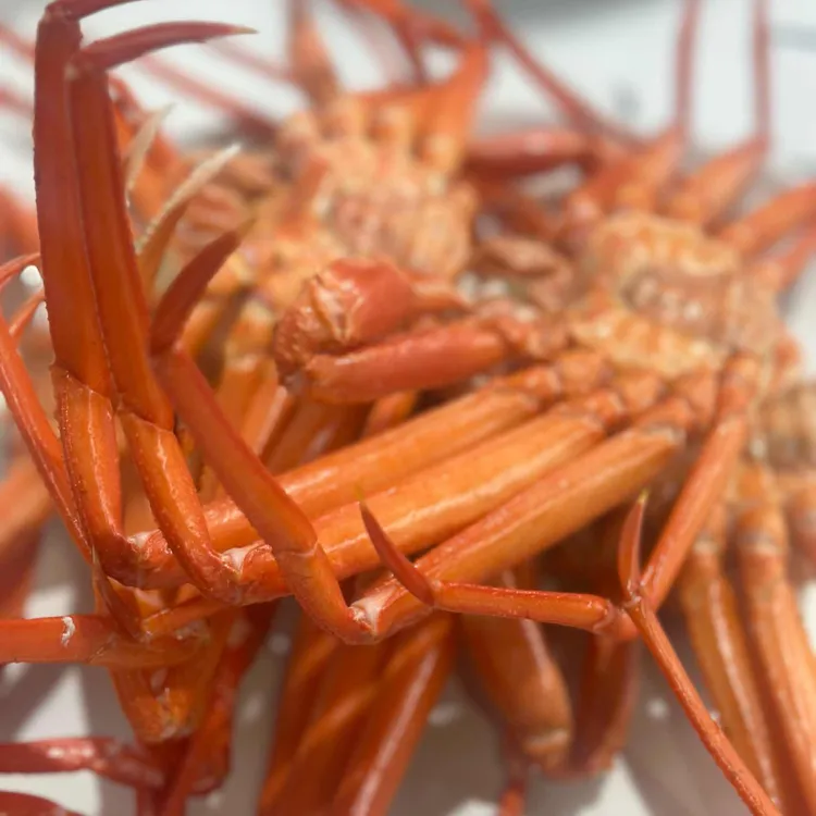부산밀면&바른대게 대표 사진