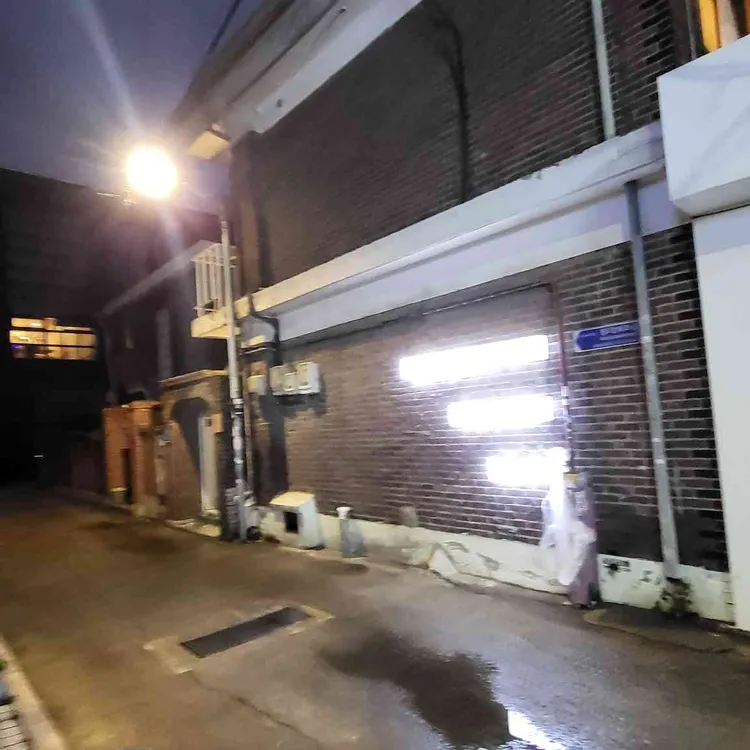 토마 사진 2
