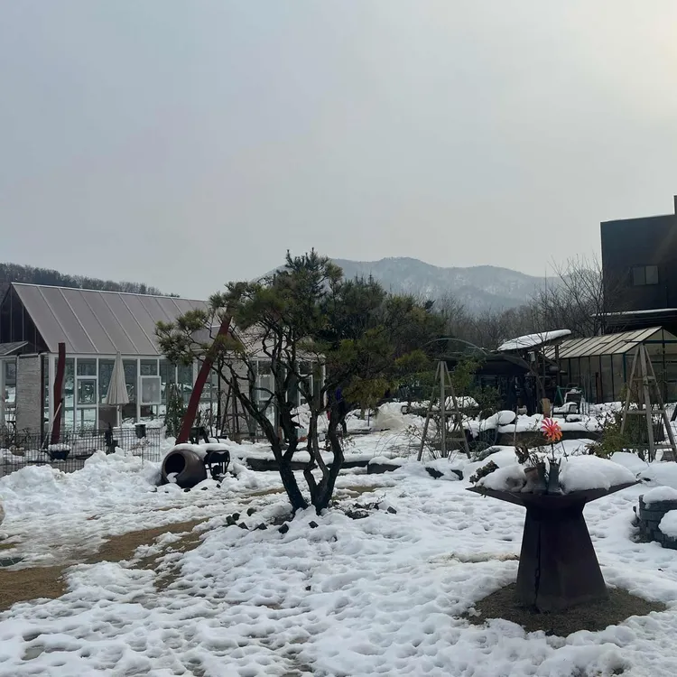 딜라의정원 대표 사진