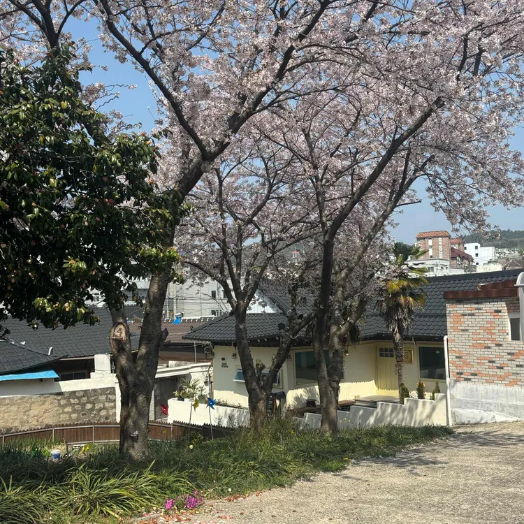 야자수 대표 사진
