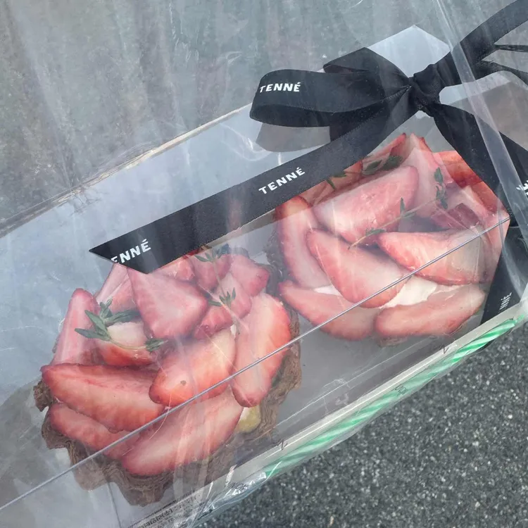테니 대표 사진