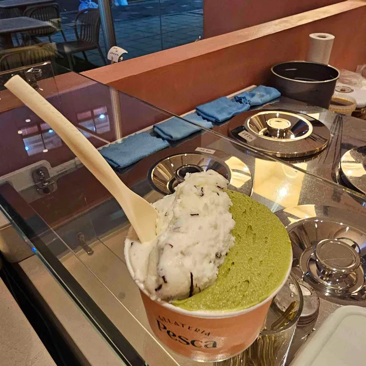 페스까 대표 사진