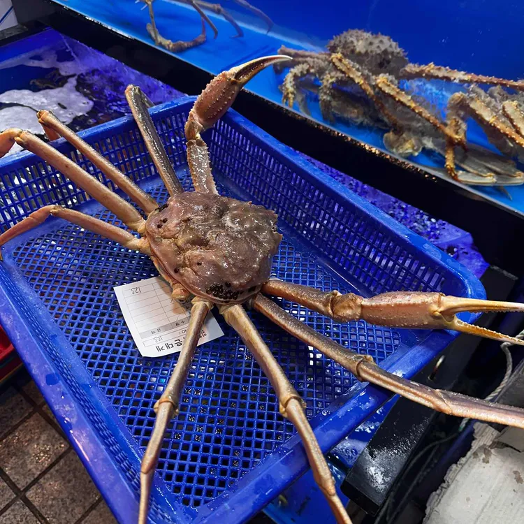 아빠가잡아온붉은대게 대표 사진