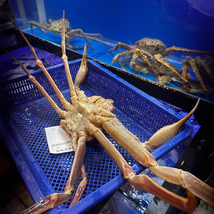 아빠가잡아온붉은대게 대표 사진