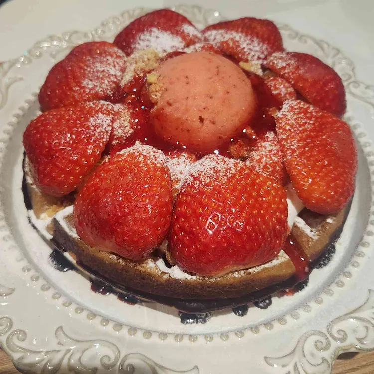 카몽 대표 사진