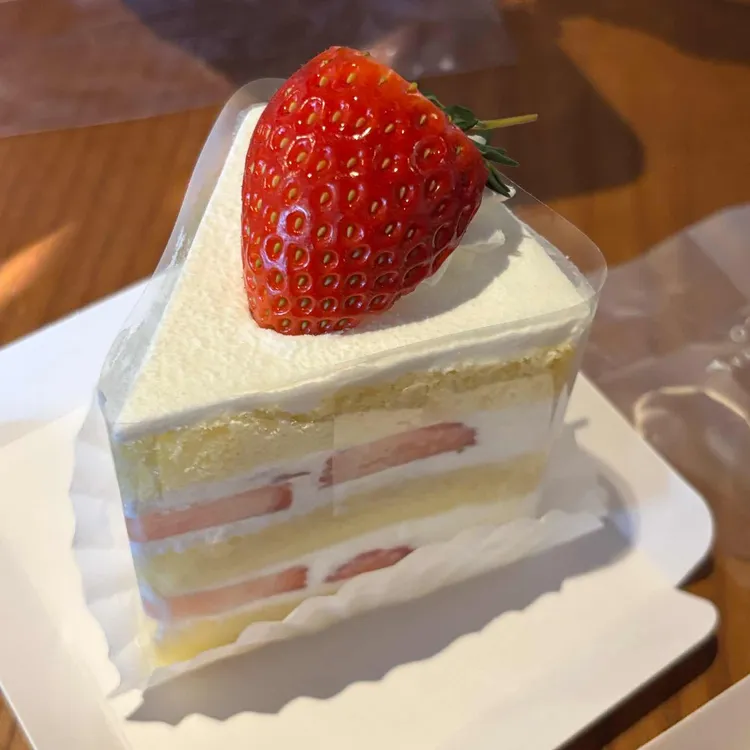 스미다 대표 사진
