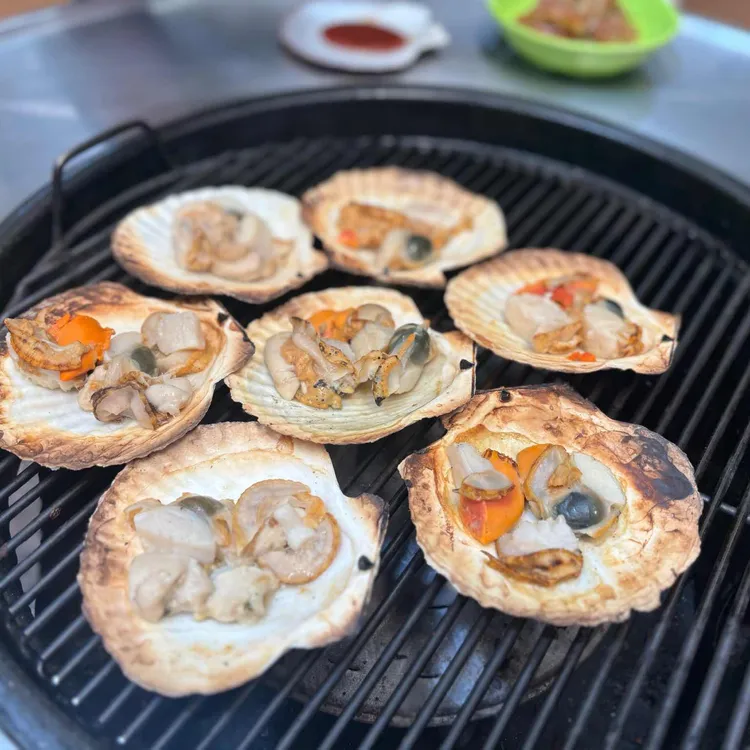 모녀가리비 대표 사진