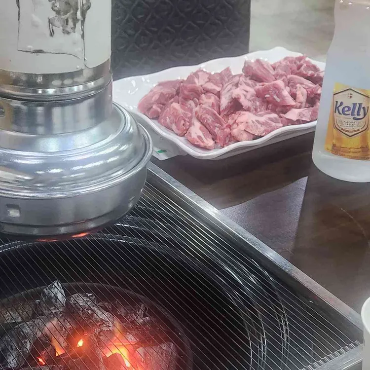은행나무 갈매기 대표 사진