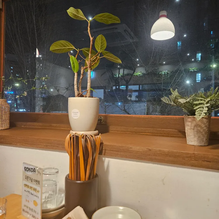 소코아 사진 2