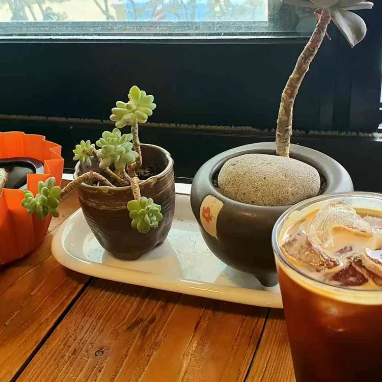 두발카페&욕장과자점 대표 사진