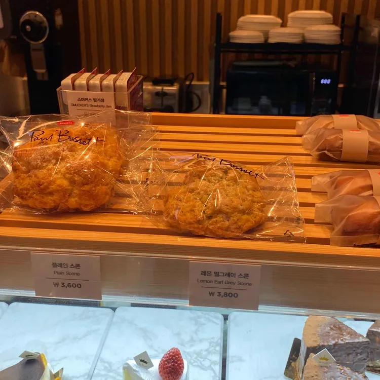 폴 바셋 대표 사진