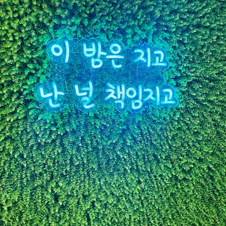 오이드킨 사진 1