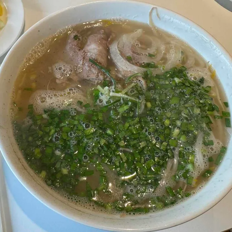 포레스트오늘,숲 대표 사진