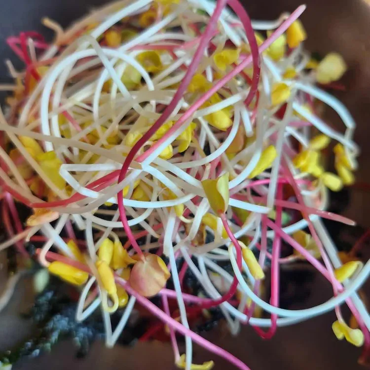 중앙탑메밀마당 대표 사진