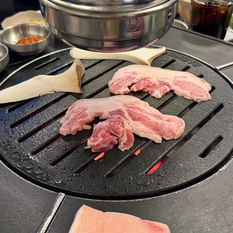 빽돈 사진 2