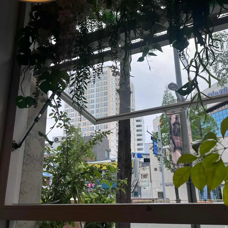 루모스커피 대표 사진