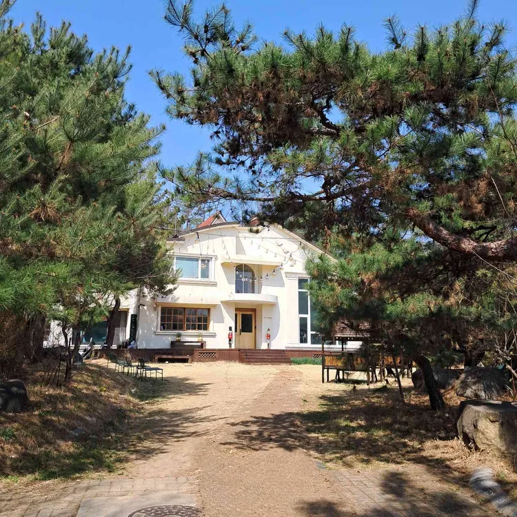 로로리 대표 사진
