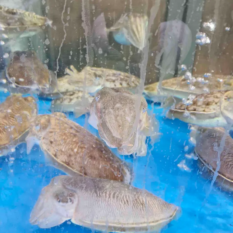 금호포차 대표 사진