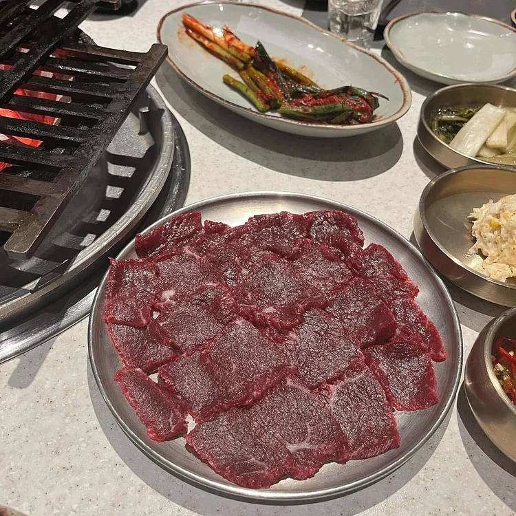 백송 대표 사진
