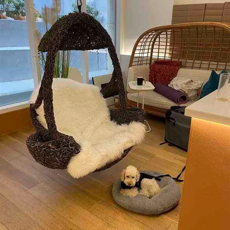 그래도돈까스 대표 사진