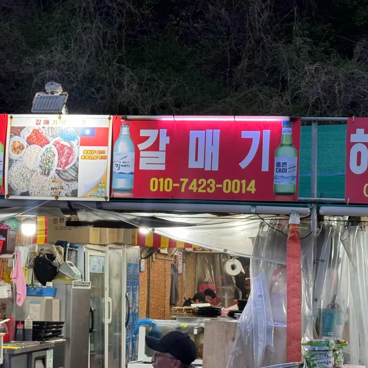 암남공원 갈매기 대표 사진