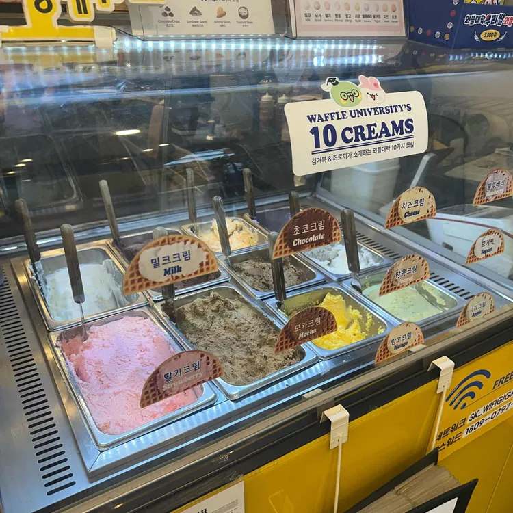 와플대학 사진 2