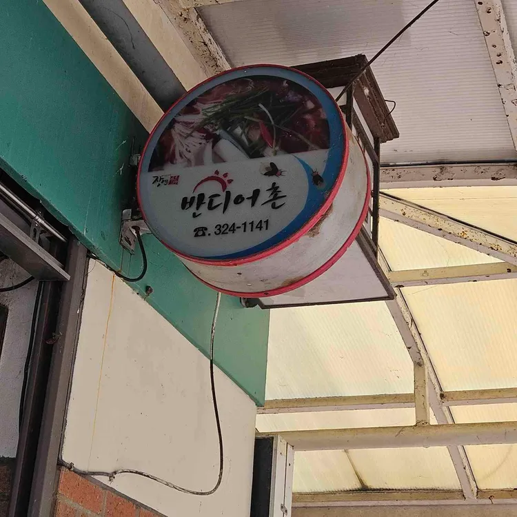 반디어촌 대표 사진
