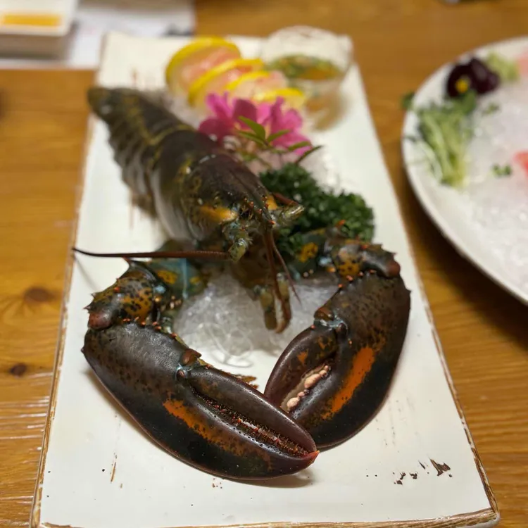 본참치 대표 사진