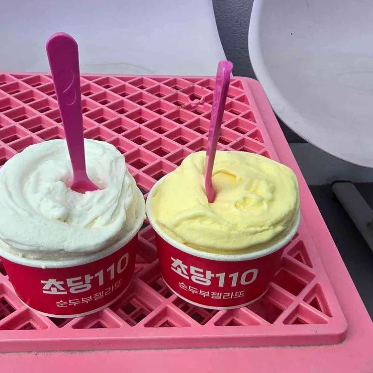 초당110 사진