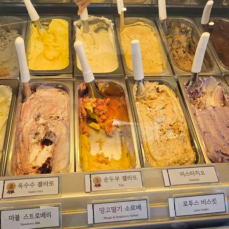 초당110 사진 2