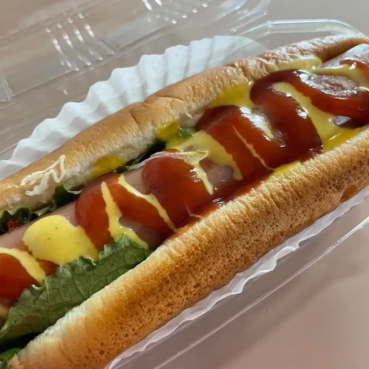 나무그늘 대표 사진