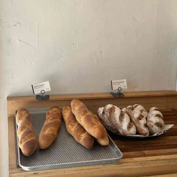 침착하고 느린손 사진 2