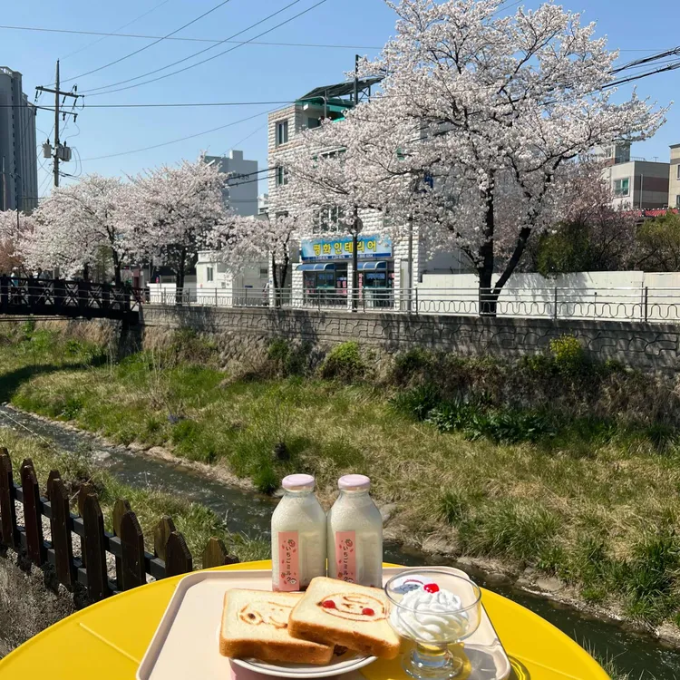 스모모 대표 사진