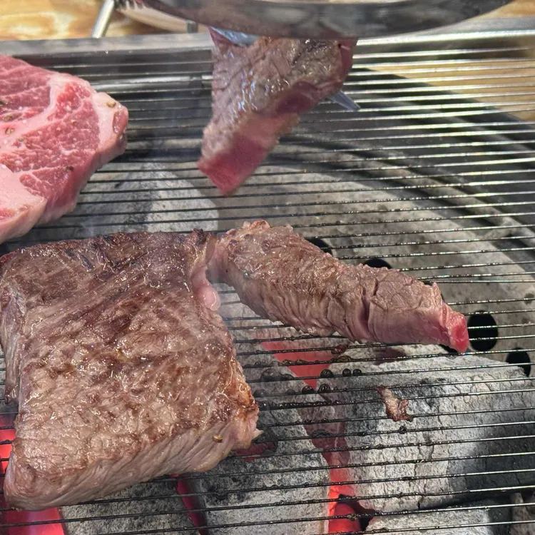 진원소우 대표 사진