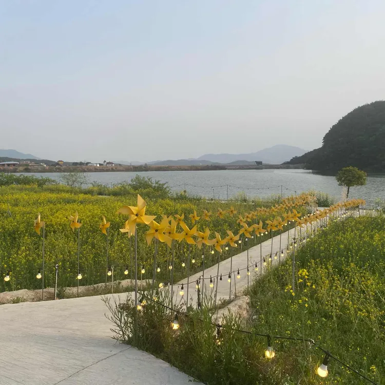 바실라 대표 사진