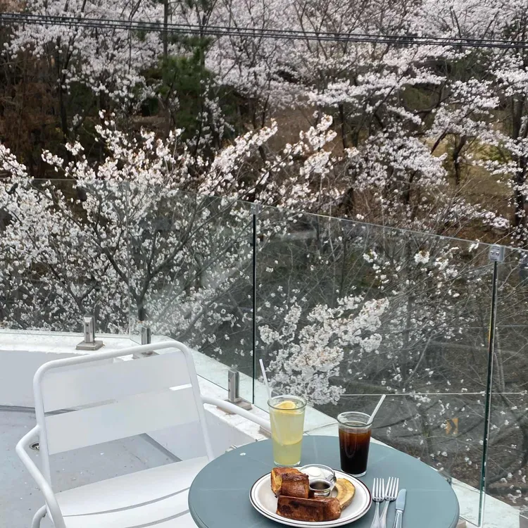 무무도 대표 사진