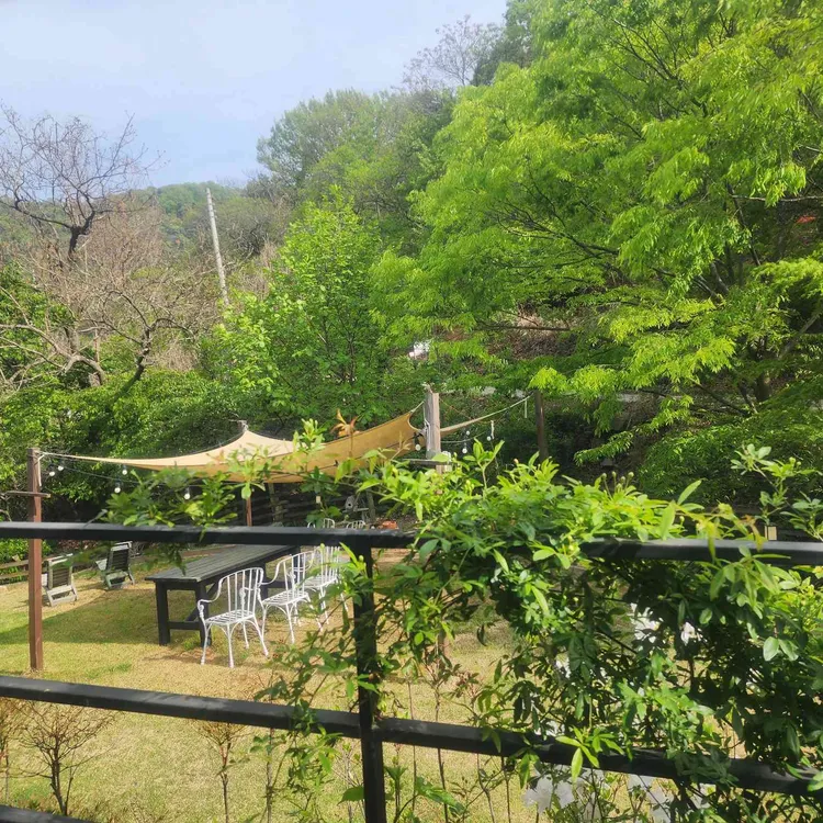 스텔라 대표 사진