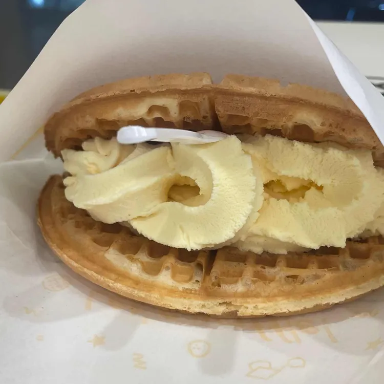 와플대학 대표 사진