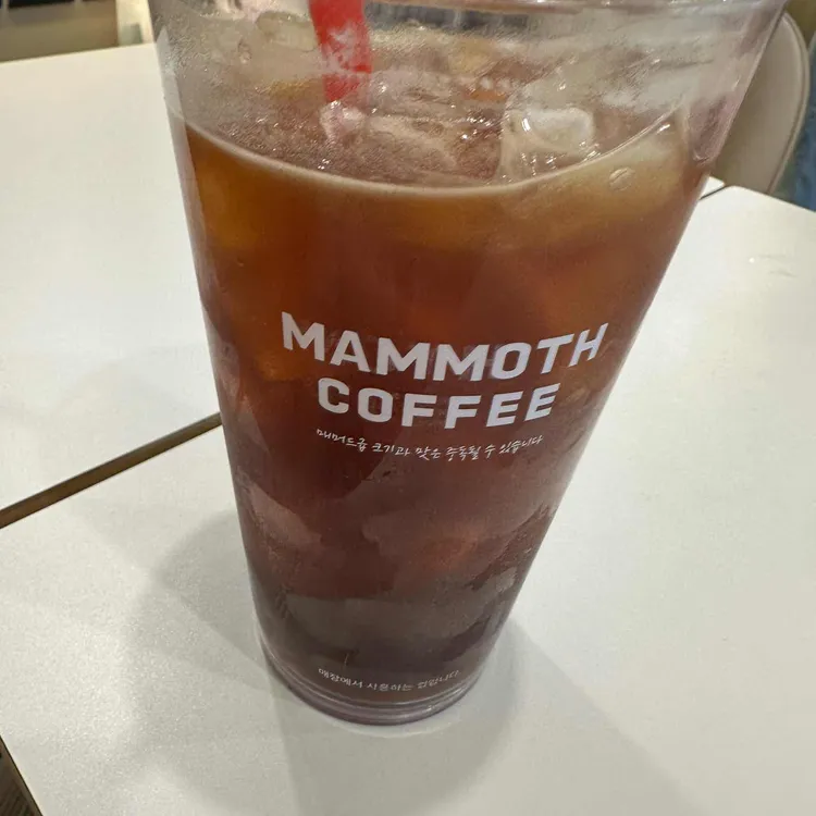 매머드익스프레스 대표 사진