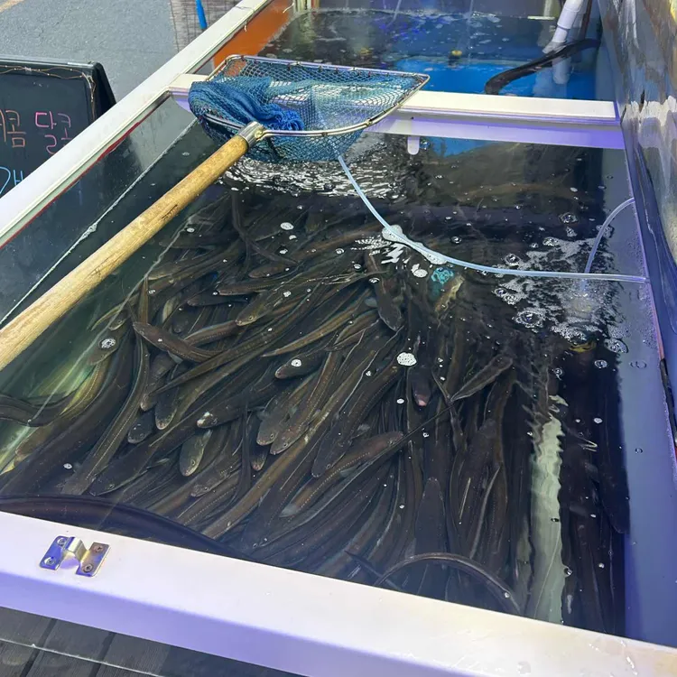 대성수산 대표 사진