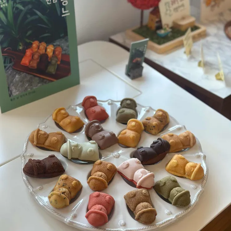 오늘제주 대표 사진