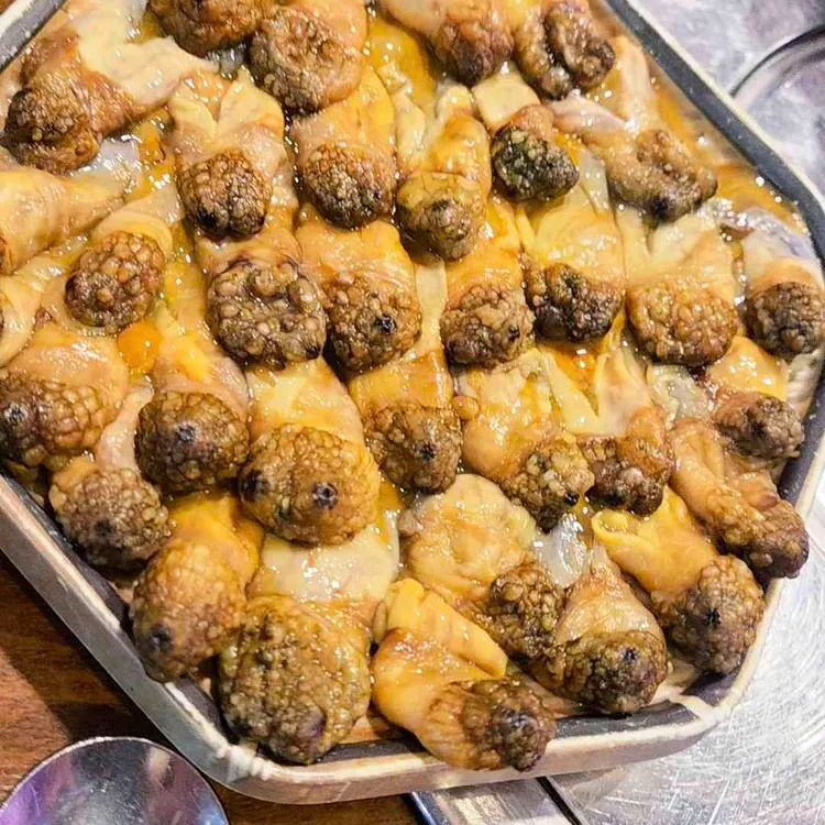 삼바리 대표 사진